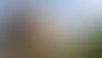 Многоуровневый паркинг