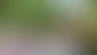 Безопасные дворы с ограждением — комфорт и защита для всей семьи