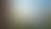 Видовые квартиры у пруда