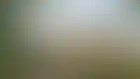 Уникальные квартиры у пруда