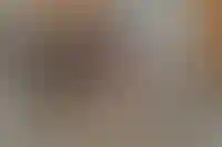 Все необходимое в шаговой доступности
