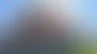 Школы и детские сады во дворах домов