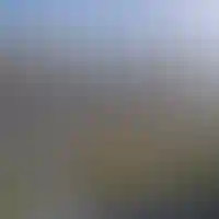Комплексный сервис
