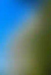 Охраняемый паркинг