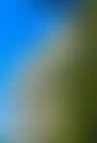 Охраняемый паркинг