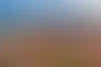 Расстояние от вашего дома до Москвы — 0 км