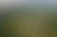 Особая среда Сколково
